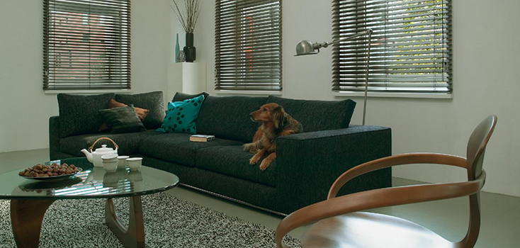 Country Woods Hunter Douglas — ambiente 3